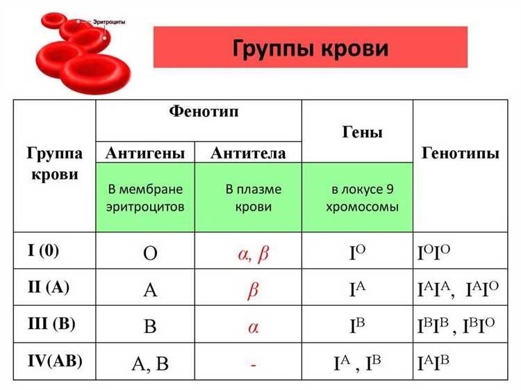 Какая группа крови лучше сравнение и выбор лучшей группы крови