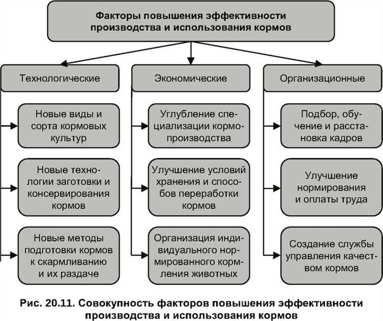 Работа 24 часа эффективное использование времени и повышение производительности