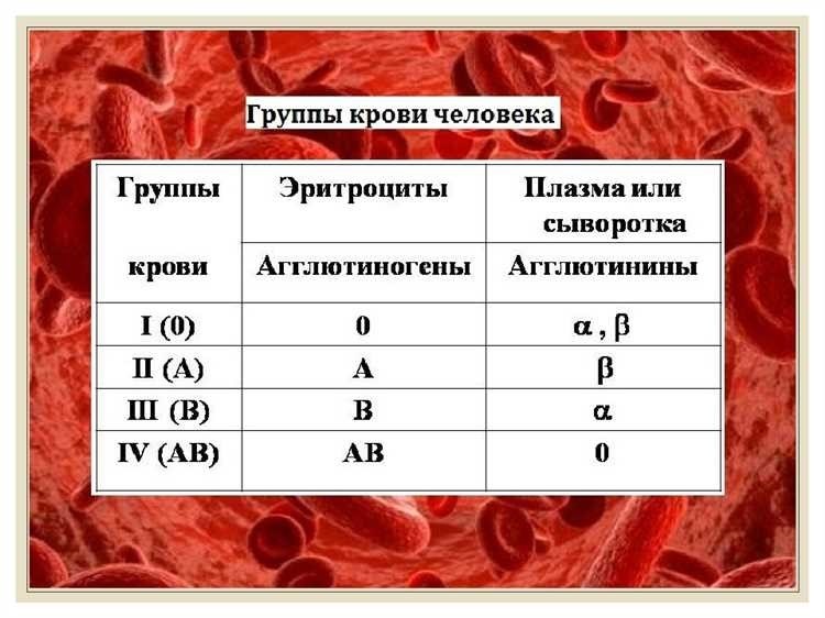 Самая лучшая группа крови как определить и узнать свою группу крови