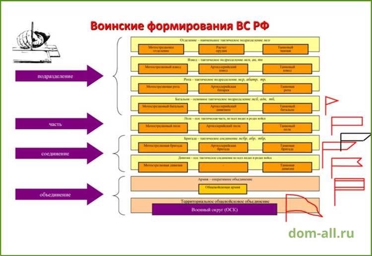 Сколько же рота составляет в воинской структуре узнайте подробности